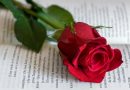Premis Sant Jordi 2026