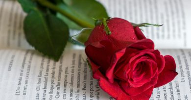 Premis Sant Jordi 2026